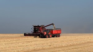 Ça fait toujours un effet particulier de voir la première moissonneuse batteuse de l’année en action La récolte des escourgeons a débuté dans le Gâtinais #moisson2025 #harvest2025 | Jean Pierre Noret- Passion et Collection