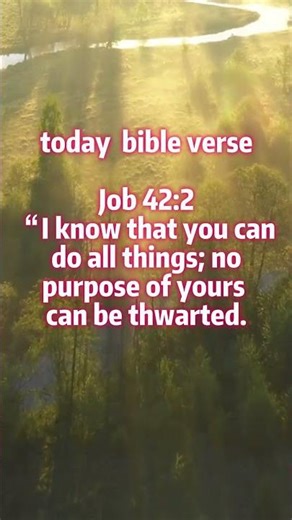 JOB 42:2 BIBLEVERSE #bible #bibleverse #todaysbibleverse #biblestudy #bibleverseoftheday #lord