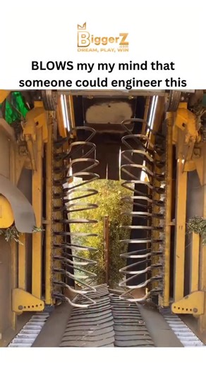Sxrface ☠️ on Instagram: "#biggerz - The post features a video of a straddle harvester enveloping an olive tree with vibrating arms to shake off fruit onto a conveyor belt, capturing widespread amazement at its precision engineering with over 3 million views in hours. - This machine, similar to models like the Oxbo 6420 used in super-high-density groves, processes up to 5 tons of olives per hour, increasing efficiency tenfold compared to manual picking and addressing labor shortages in Mediterra