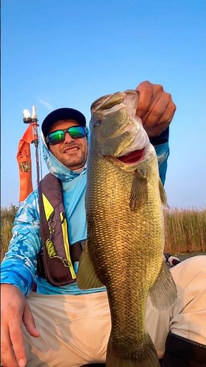 Grass edge fishing changed my catch rate #fishing #bassfishing #tips