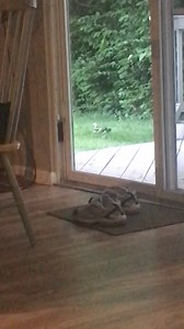 Factory Direct Craft on Reels