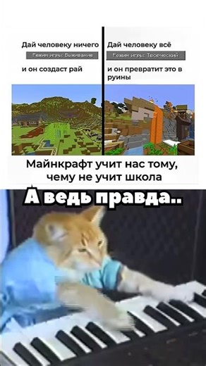 Кто то еще помнит этого кота?😢 #nobatidao