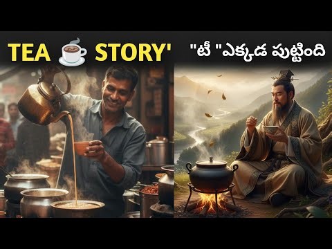 origin of tea the story of samosa #invention #tea #invention