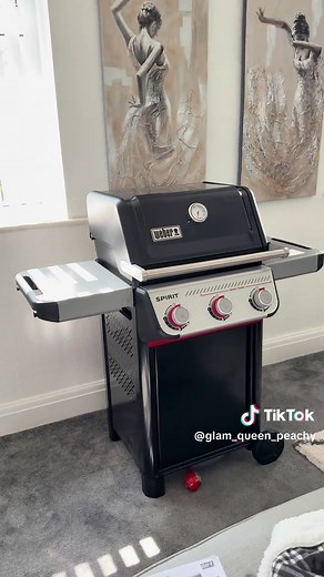 Weber Spirit E-325 GBS Grill Review & Assembly Guide