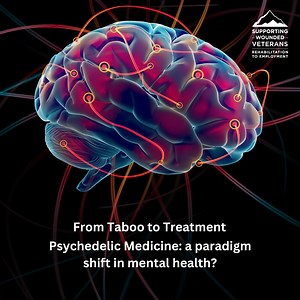 From Taboo to Treatment - Researchers discuss the potential of psychedelic medicine