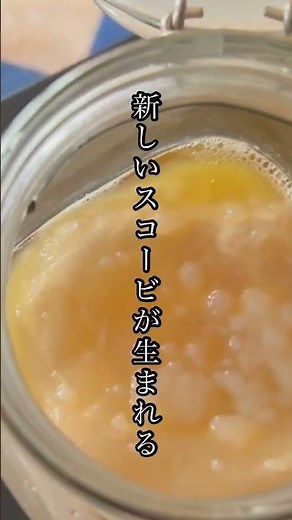 えっ、これが“菌”？発酵茶コンブチャの作り方がヤバい #コンブチャ