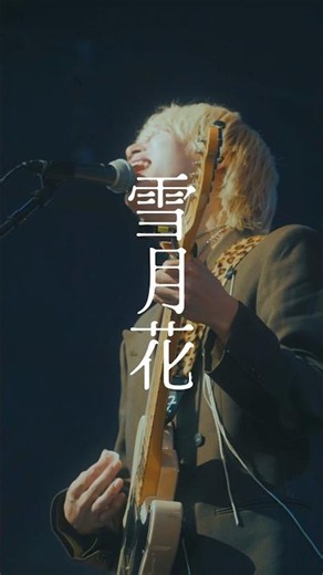 「雪月花」Live at メトロック2026#ヤングスキニー #雪月花