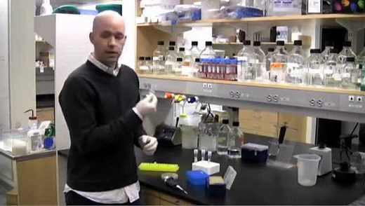 how to perform colony pcr