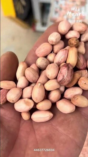 A Closer Look at Shelling