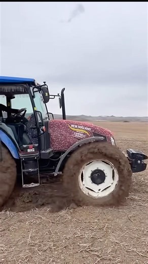 PEST CONTROL CARRIED OUT WITH A SEED DRILL