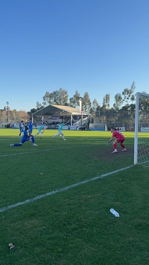 121 reactions · 3 comments | GOAAAAL! Knights lead away at Avondale with a peach of a strike!  1-0 up 15 minutes before half time  #MKFC | Melbourne Knights FC | Facebook