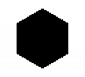 Crop photo. Photo in a shape of hexagon
