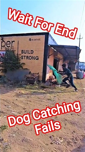 Kolkata Express Dog Catching Fail 💯😱🤯#fail #dogwithpublicsafety #dog #ytshorts #pets