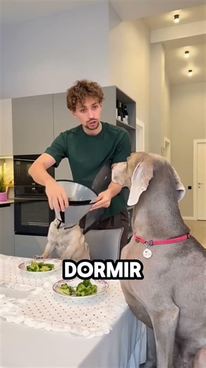 Bathroom, food and mischief… the chaos of each day