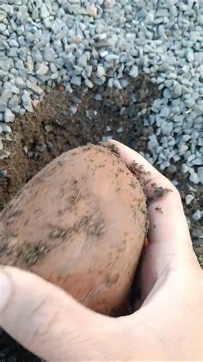 mining in mountain #shorts #minerals#crystals#geology#rockhounding #ytshorts