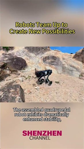 Robots Team Up to Create New Possibilities