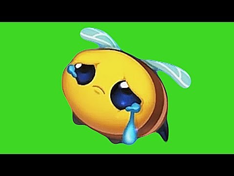 롤 슬펐꿀벌 감정표현 😪 (LOL bee Emote green screen)