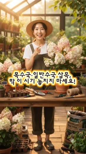 목수국·일반수국 실패 없는 삽목 법! 이 시기 놓치면 후회해요 #수국삽목시기#삽목방법#shorts