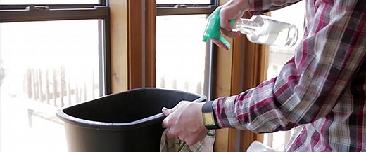 How To Keep Ants Away