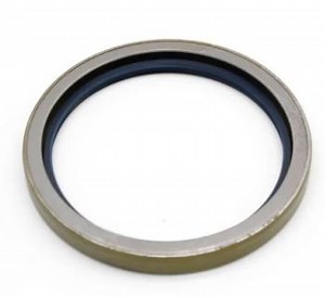 [Hot Item] Ta 125*152.4*15 0019973847 High Temperature Resistance Mechanical Seal NBR Wheel Oil Seal
