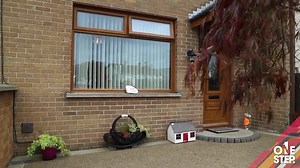 16K views · 17 reactions | ✅Our core values are simple We treat our customers the way we would want to be treated ourselves, offering honest advice and respecting their homes and property Review from Mick in Markethill - Existing Home Find out more  https://bit.ly/2LA3nw3  On 028-9332-1159 or 028-7963-9375 to arrange a free survey with our team #icynene #foreverwarm #familybusiness #justonestep | One Step Insulation Ltd | Facebook