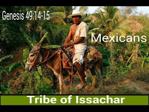 12 TRIBES OF ISRAEL BREAKDOWN: TRIBE OF ISSACHAR PT1