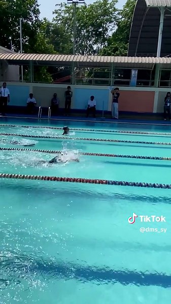 Unique Butterfly Fish Species in Clear Waters