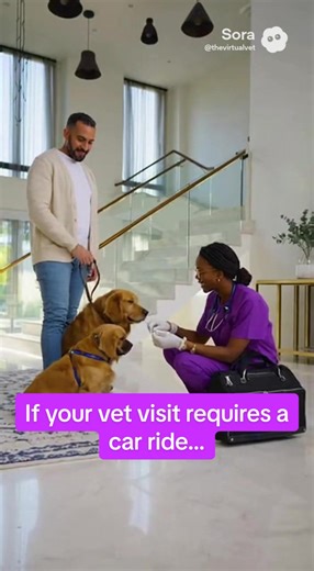 Skip the drive, skip the wait and get your Wellness Plan today! Visit thevirtualvet.com to get 24/7 virtual and mobile access. #dogcaretips #dogcare #doglovers #dogmom #dogmomlife