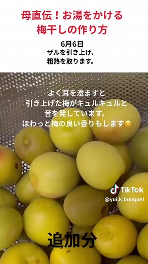 母直伝！お湯をかける簡単梅干しの作り方。 小梅だけじゃなく大粒の梅も漬けたくなりました。1キロ13%弱の塩分。2年ぶりの梅仕事は楽しい🥰 #梅干し漬け方 #梅干し作り方 #梅干し簡単 #梅仕事 #梅仕事2025 #強制追熟