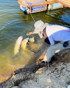 14K views · 15 reactions | Untangling Heavy Fish From Line #FishCatch #ToolWork #SmartMachine #IndustrialProcess #PowerMotion | Deep Dive News | Facebook