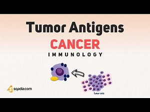 Cancer Immunology | Tumor Antigens | How the Immune System Sees and Destroys Tumors