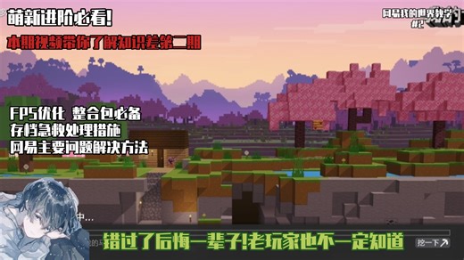 第二期 萌新进阶必看!优化存档提高帧率，存档急救措施!区块不显示处理!模组内容无法正常显示处理!