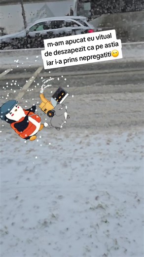 iarna nu-i ca vara🤪 #vyse TikTok