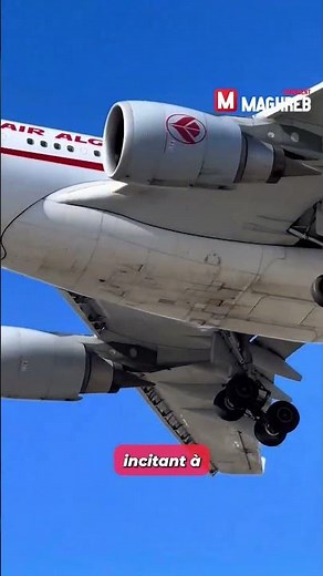Air Algérie: Up to 11 destinations included in a new bonus miles offer