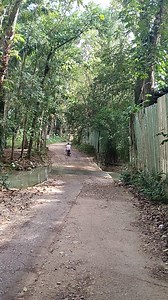 Cebu Go Go Adventure on Reels