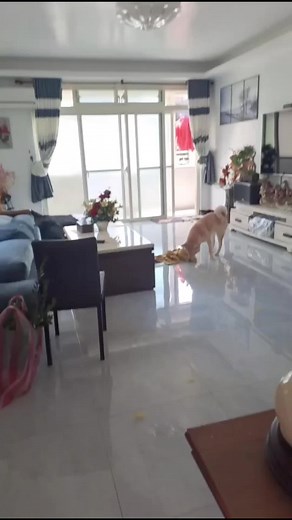 Hiêu Thuân trên TikTok