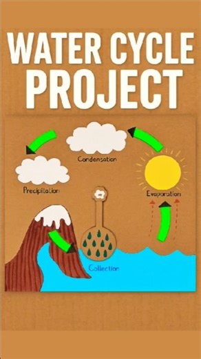 DIY Water Cycle Project #scienceproject #craftchutney2 #trending #cardboard #shorts