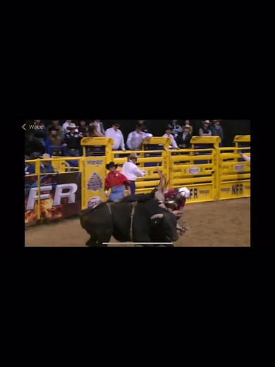 When you do your first National Finals Rodeo @prca_prorodeo Las Vegas @lasvegasnfr round 10, so good they carry you out. 2 plates 16 screws and a gold buckle. #lasvegas #wrecked #wild #rodeo #nationalfinalsrodeo #fyp #viral #bullriding | Shane Proctor