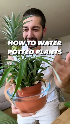 How to water your plants.. without killing them in the process! 😅🌱 When you can’t figure out why your plant isn’t doing well, most of the time, it’s due to watering too little or too much.. next time, try doing this, especially with your plants that are in pots! 🪴 . . . . #plants #gardening #gardeninghacks #lifehacks #diy #howto #kitchenhacks #recycle #upcycle #hacks #creativeexplained #water #plantbased #gardeningtips | creative explained