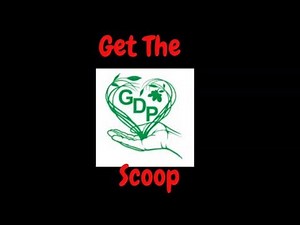 Check Out The Green Dream Project Off Grid Homestead