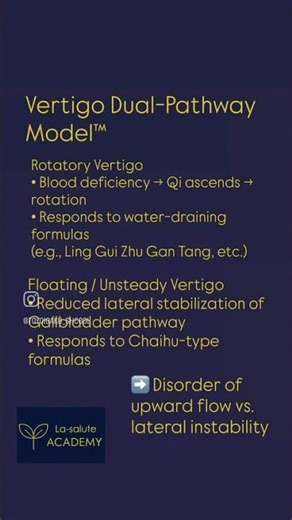 Oriental Medicine Neuro-Dynamics™— Overview of 5 Original Models