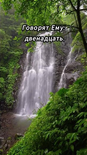 Почему вы не понимаете?