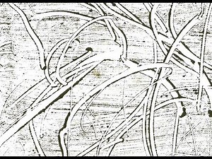 Introduction to Mono Printing