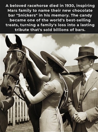 16K views · 333 reactions | In 1930, the Mars family faced the...