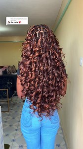 Ponytail curl braids — French boho foxtail-inspired ponytail style
