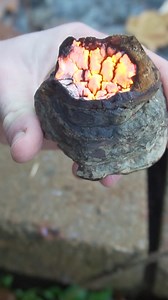 1.2M views · 19K reactions | Tinder Fungus (Fomes fomentarius) is a useful mushroom in the woods. #foraging #mushrooms #fungi #survival #bushcraft #Maine | Son of a Bear Herbs | Facebook