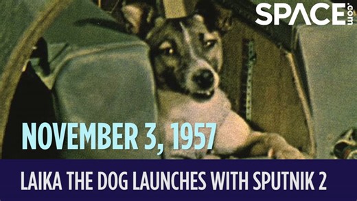 OTD in Space - November 3: Laika the Dog Launches with Sputnik 2