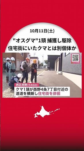 【ヒグマ速報】箱わなで体長約1.4ｍの“オスグマ”1頭捕獲し駆除―足跡を残し住宅街を徘徊したクマとは別の個体か〈引き続き注意を呼びかける〉北海道札幌市