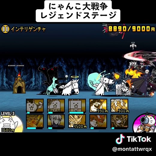 TikTokでにゃんこさんをチェック！