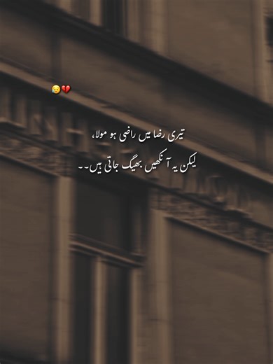 Understanding TikTok Account Issues and Solutions